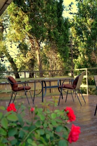 Bamboo Guest House