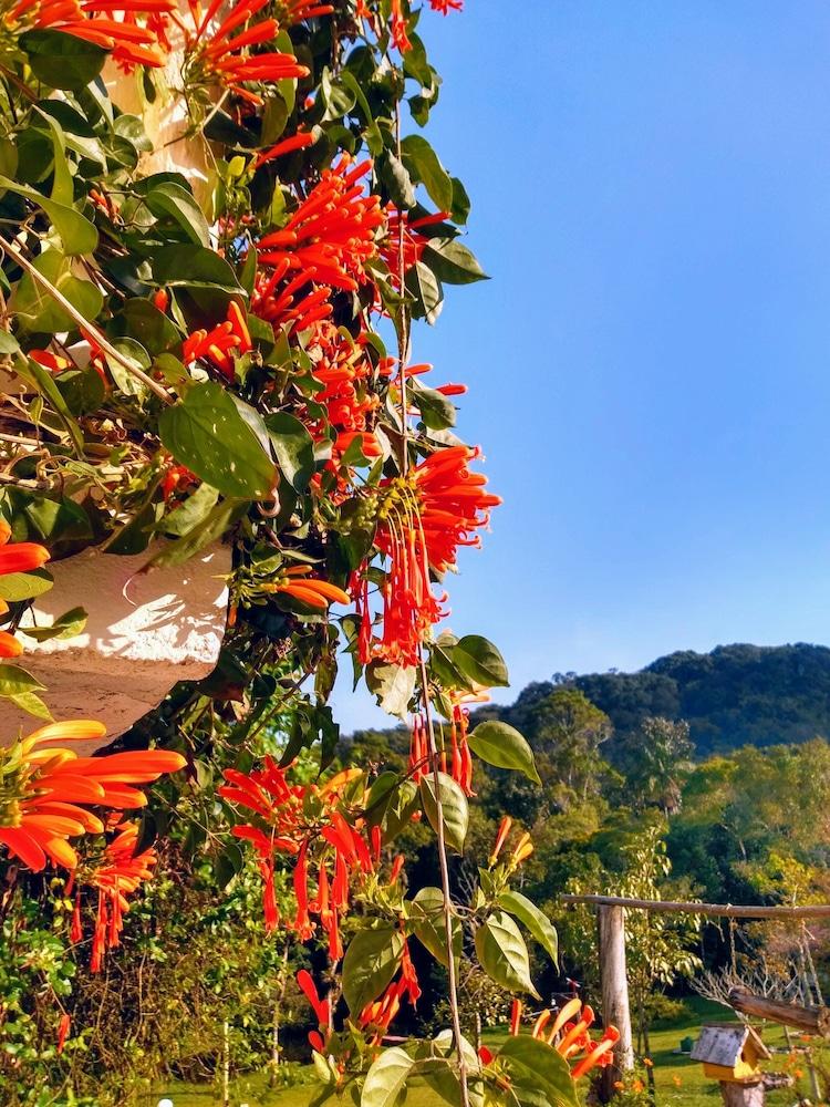 Fazenda Rio Grande