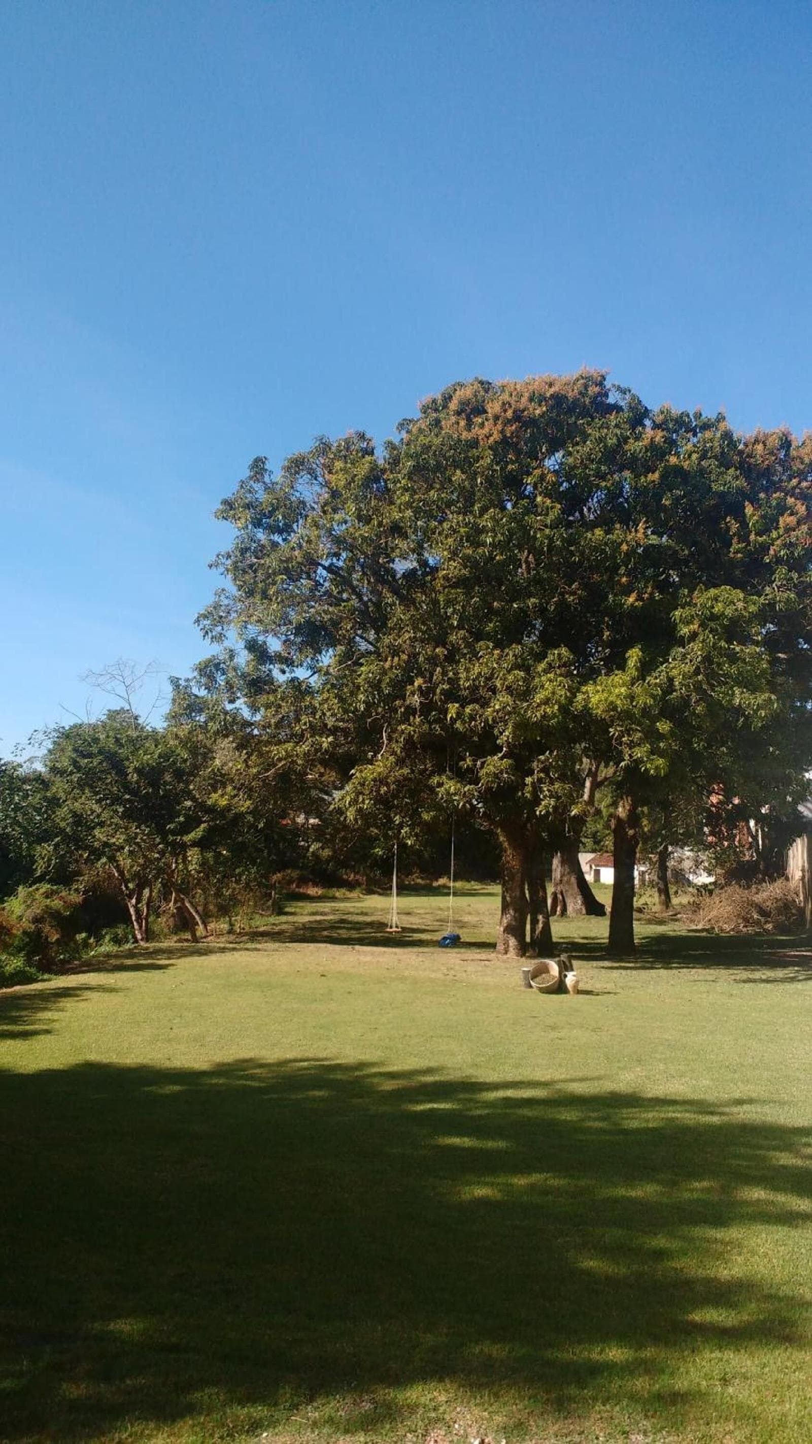 Hotel Santiago 33