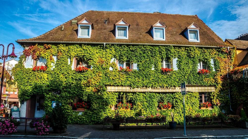 Kaiserstuhler Hof Hotel-Restaurant
