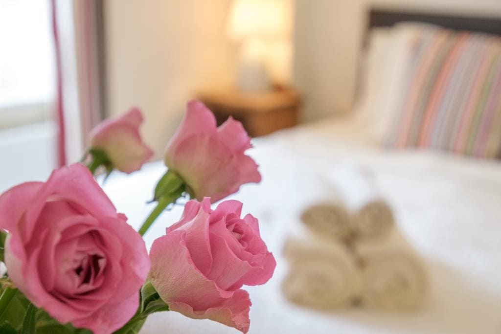Luccombe Villa Holiday Apartments