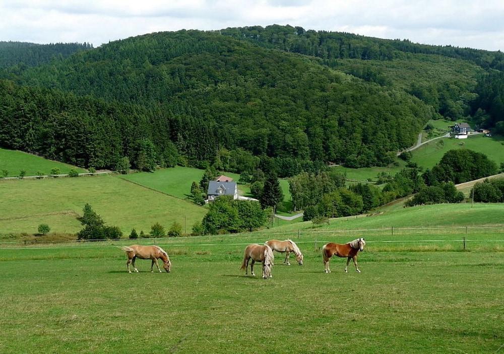 Ferienhaus Rothaargebirge