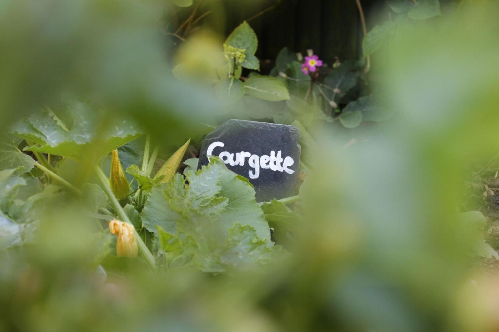 Brambles Bed And Breakfast
