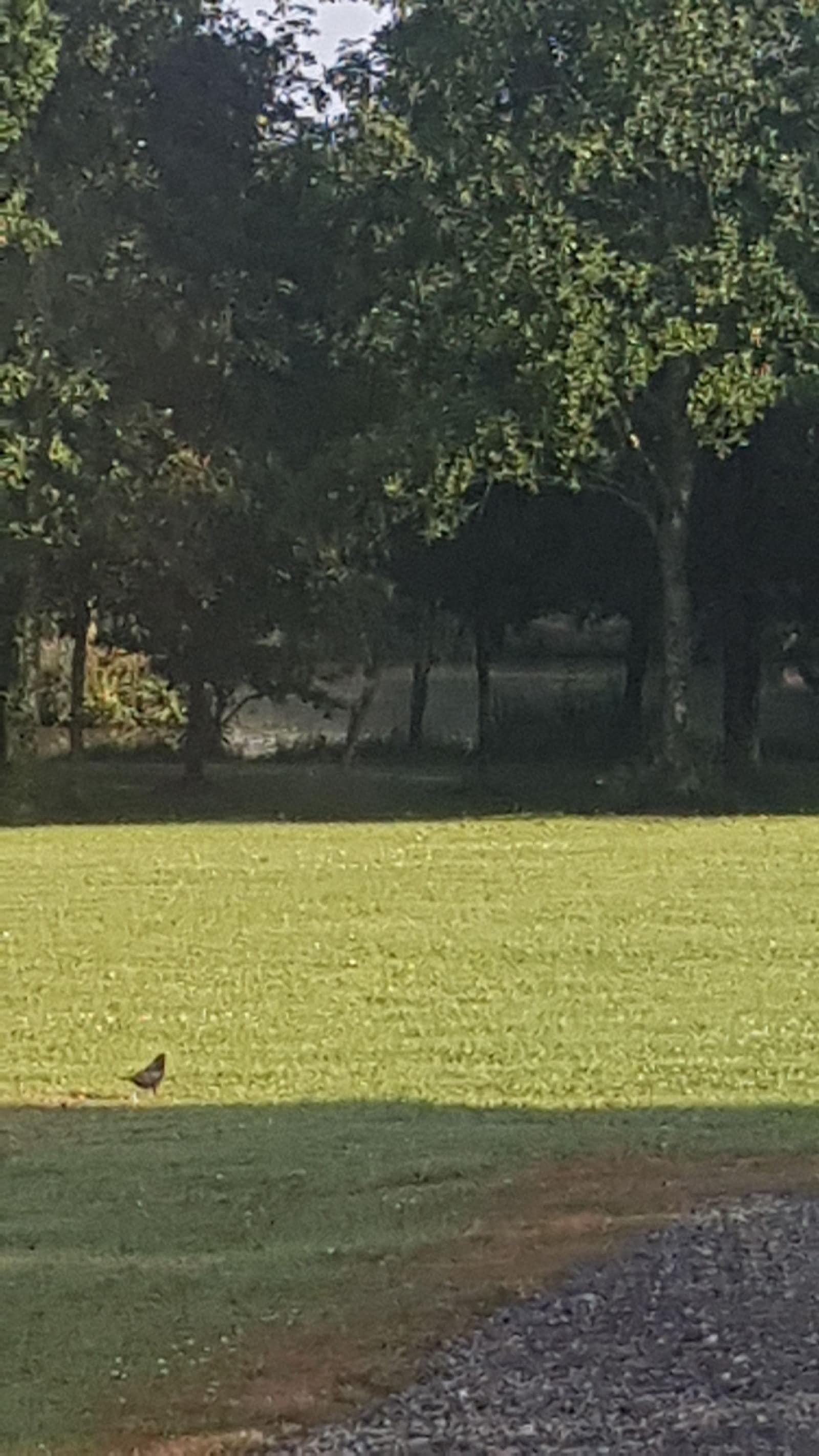 Thornbury Holiday Park