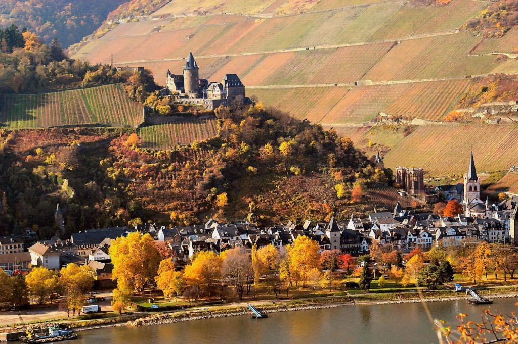 Hotel Bacharacher Hof