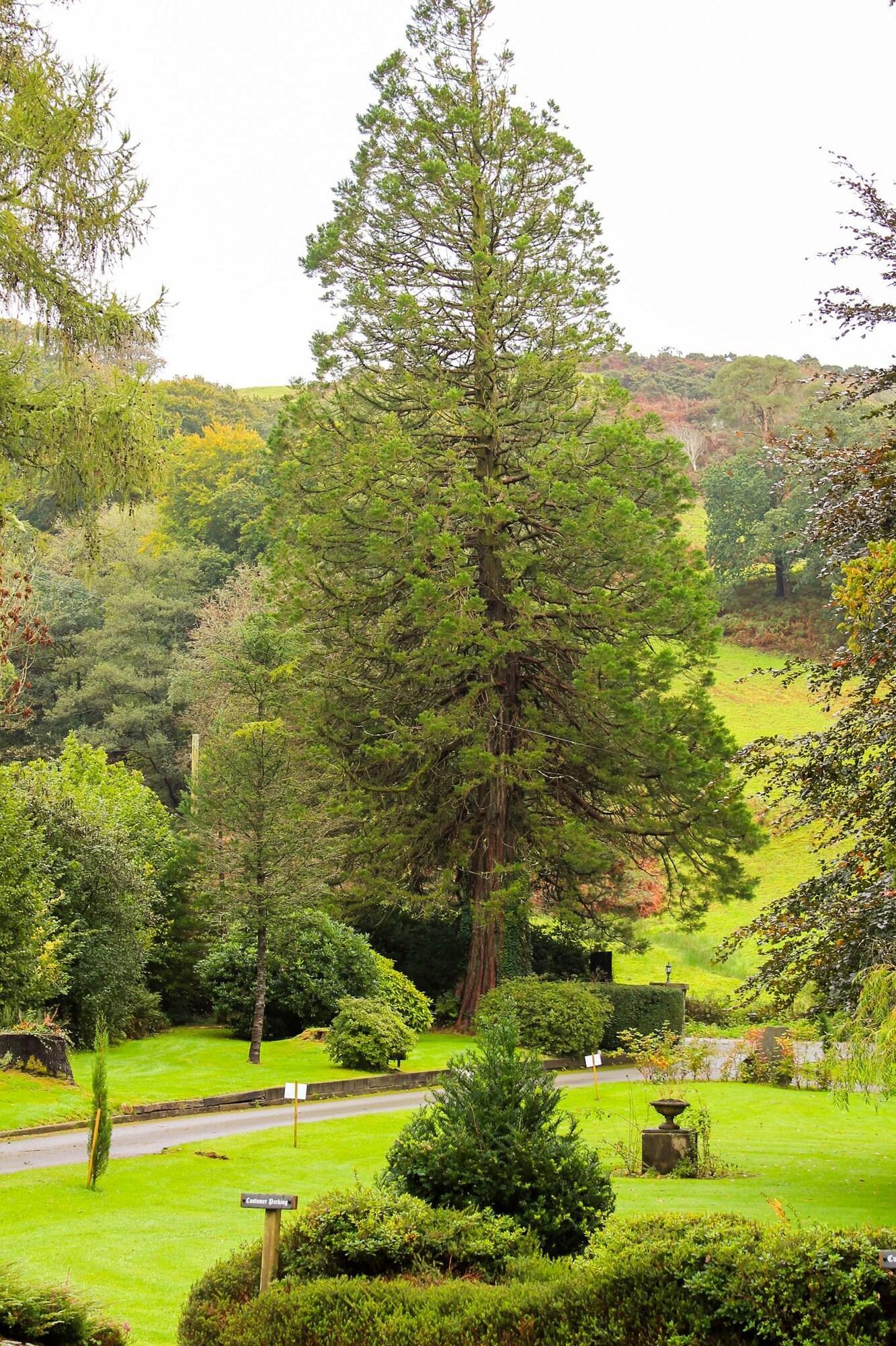 Plas Dolguog Hotel