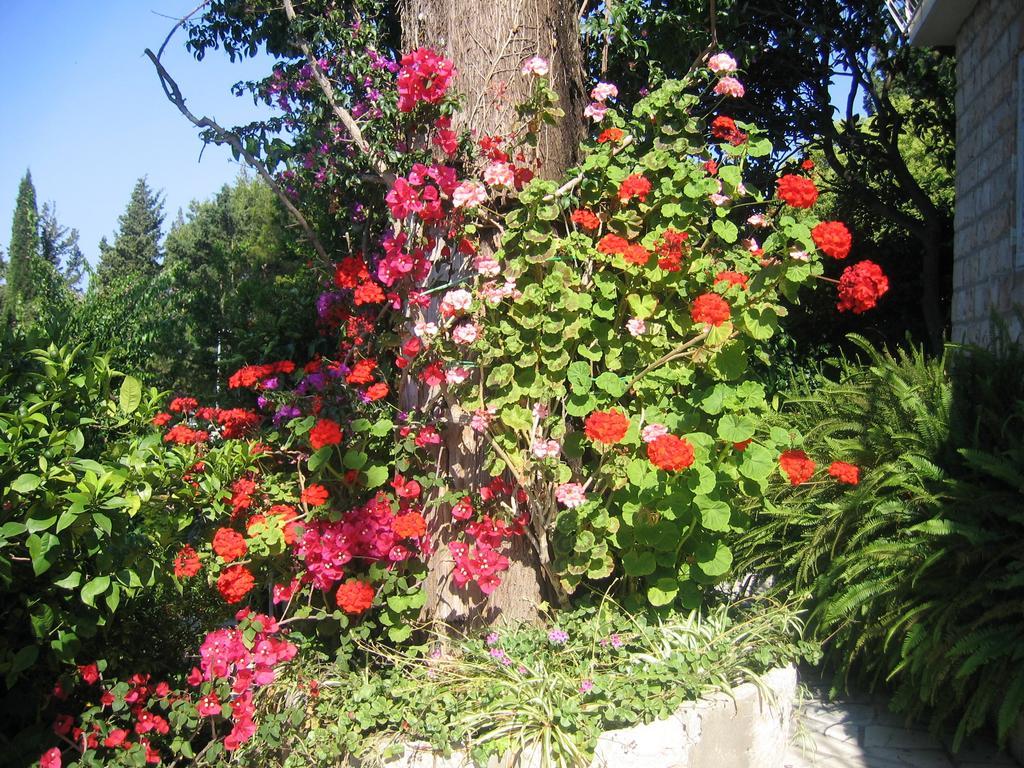 Villa Nina