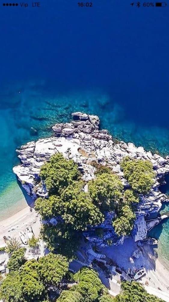 Villa Dalmatia Apartments