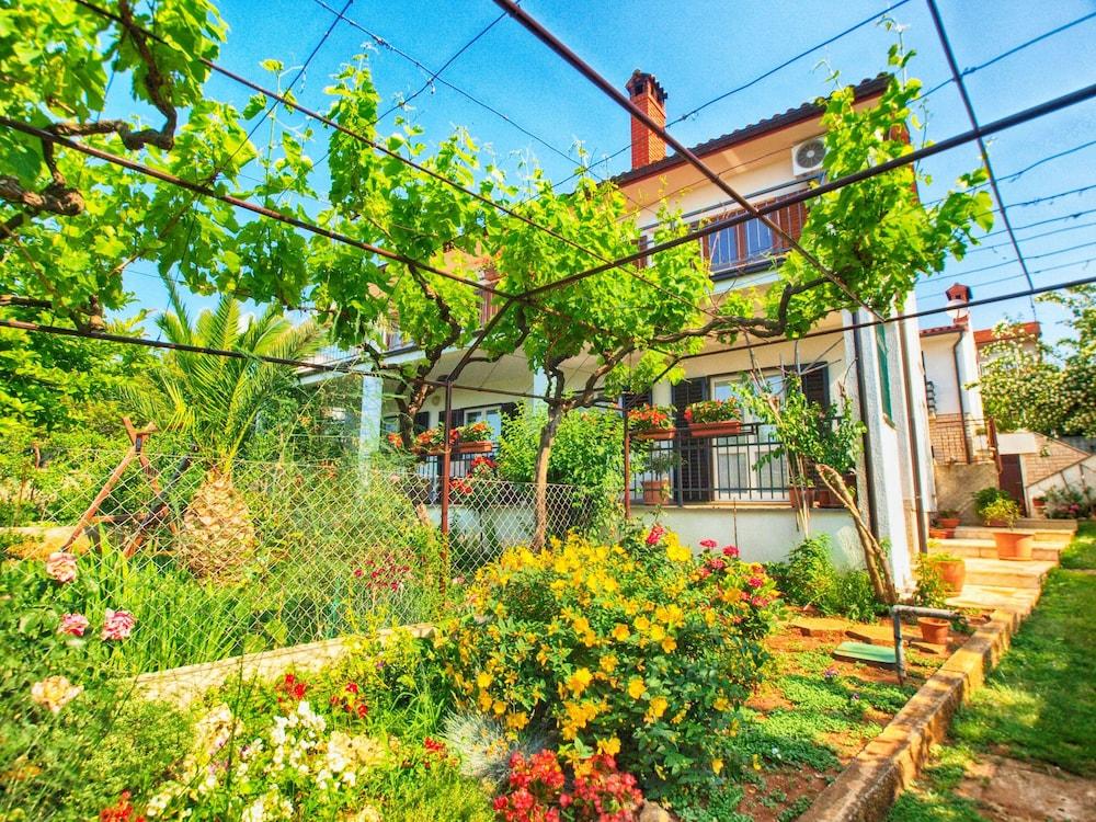 Apartments Antonieta