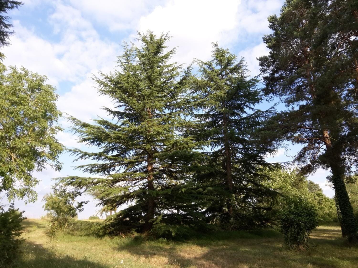 La Ferme des Berthiers