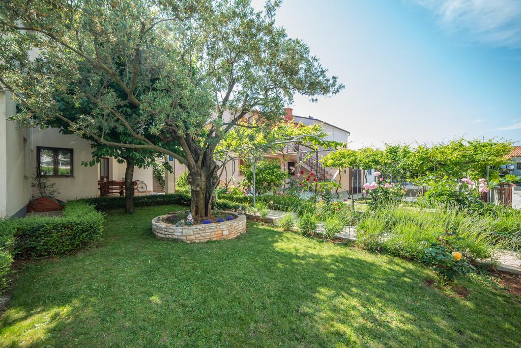 Apartments Snjezana