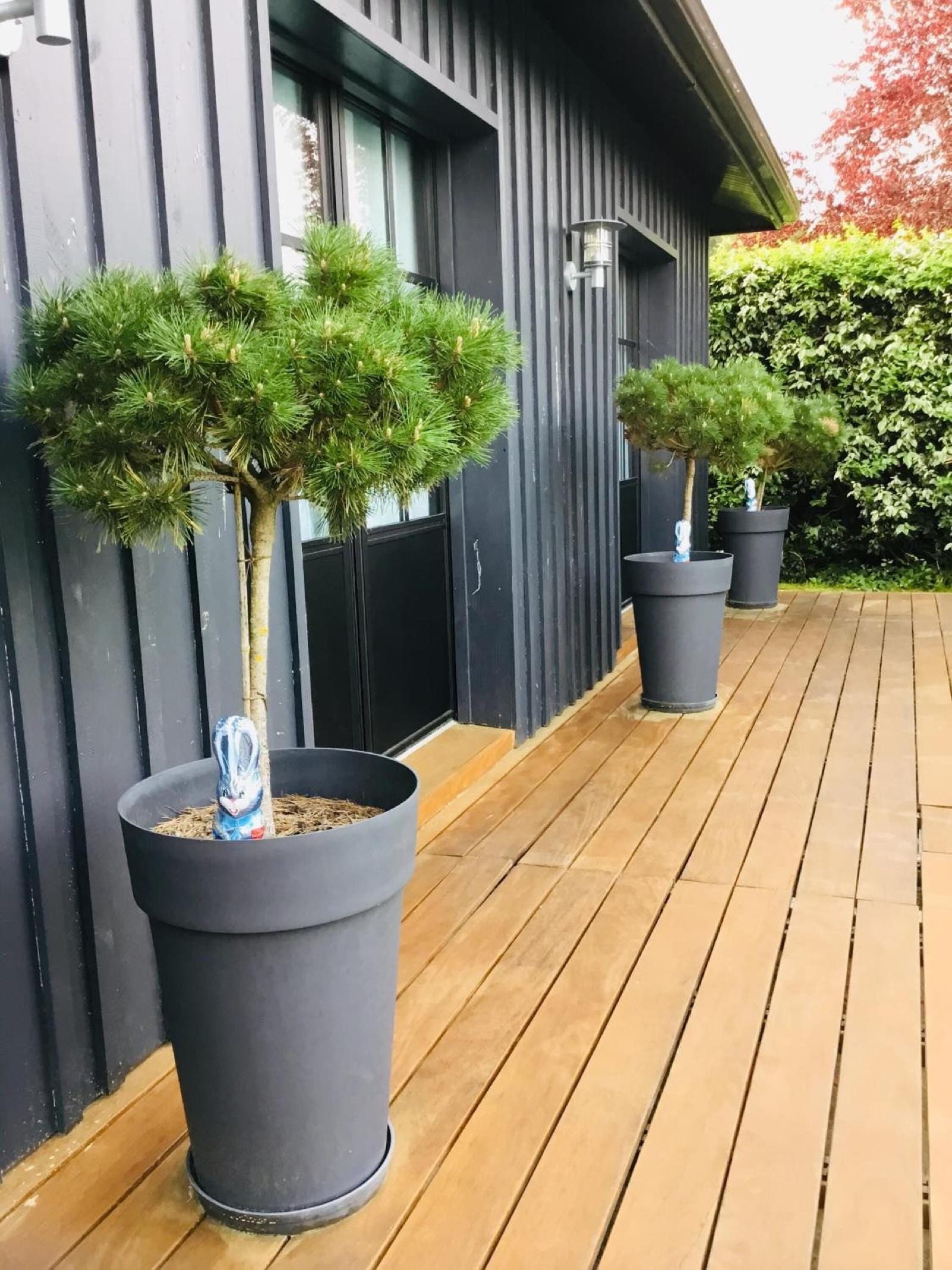 Chambres D'hotes O Bois Plage