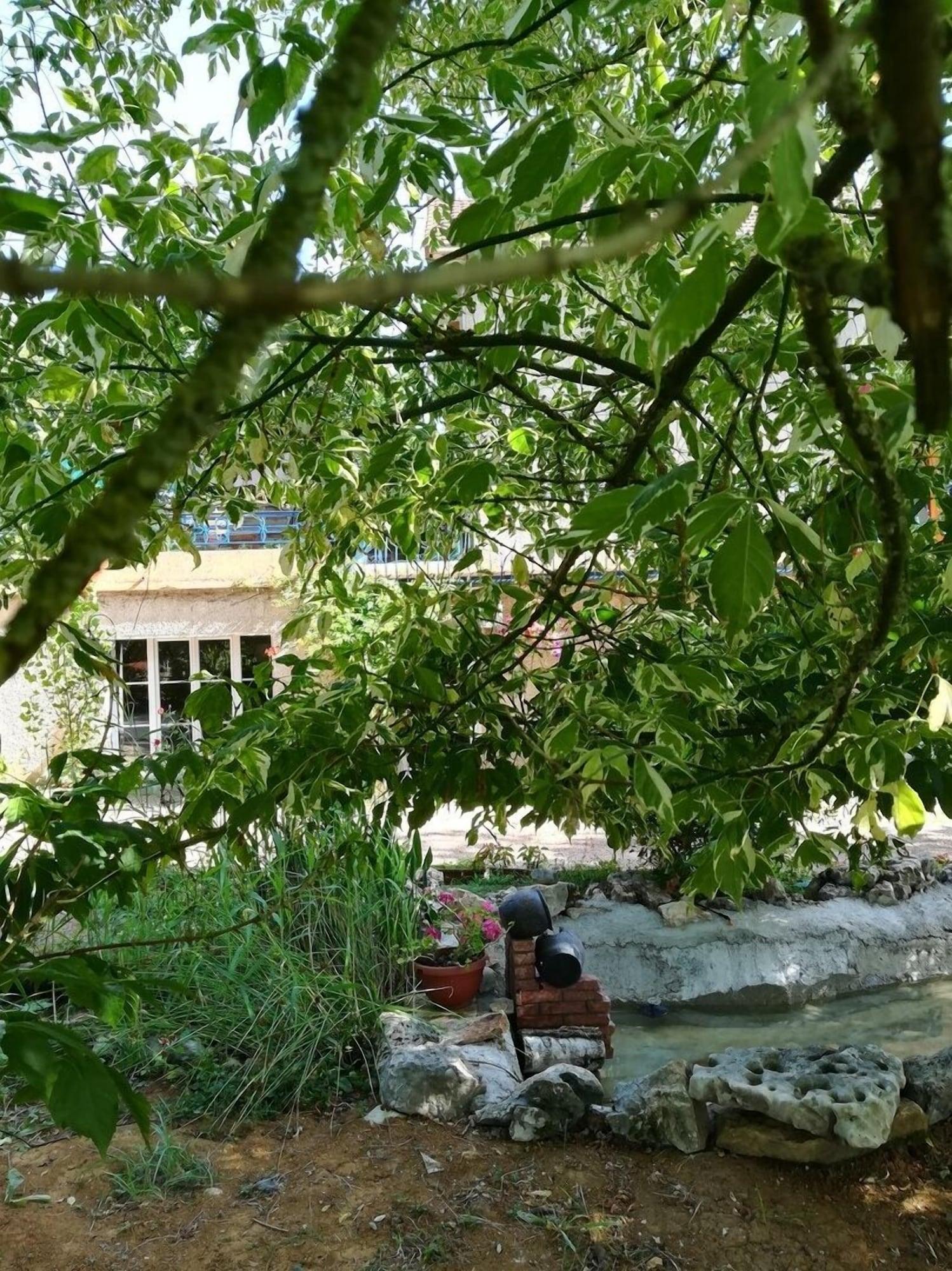 L'Amarre Aux Anges