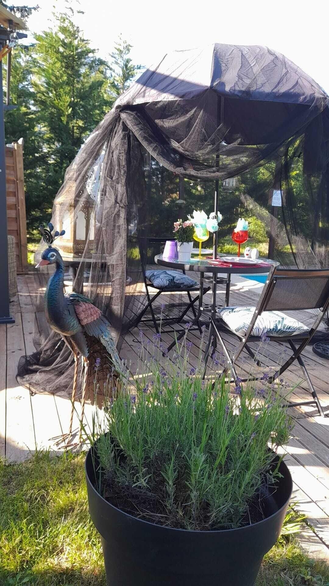L'Amarre Aux Anges