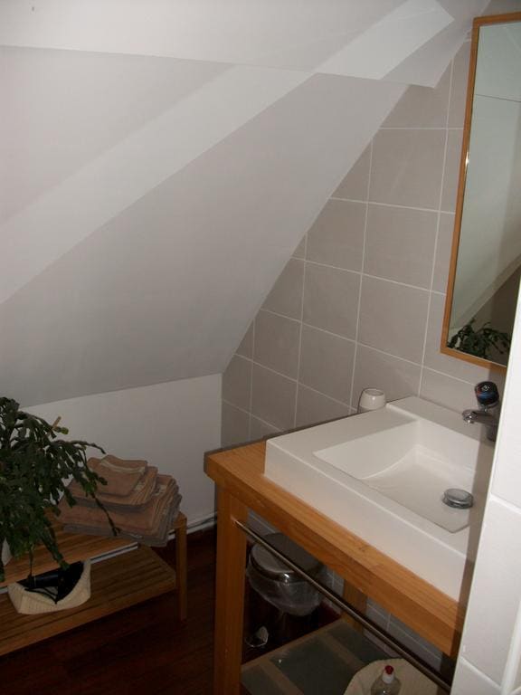 Cléome Chambre D'hote