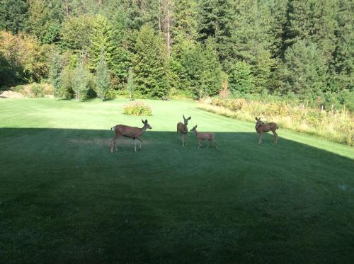 Granite Hills Inn