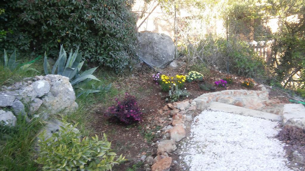 Studio L Olivette
