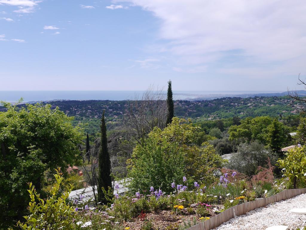 Studio L Olivette