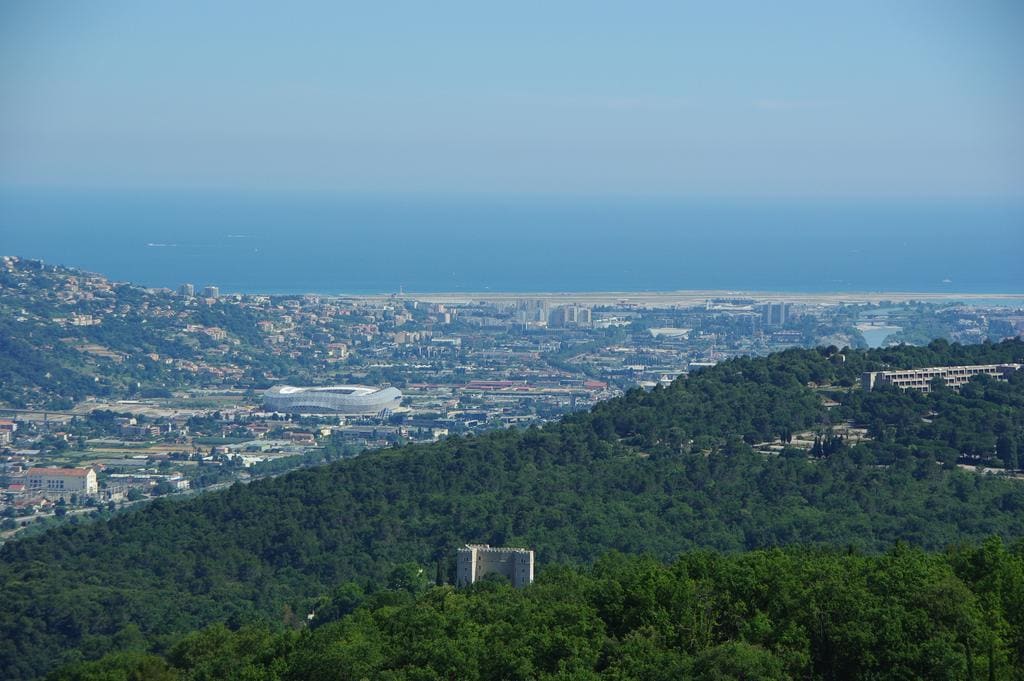 Studio L Olivette