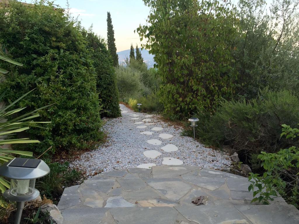 Studio L Olivette
