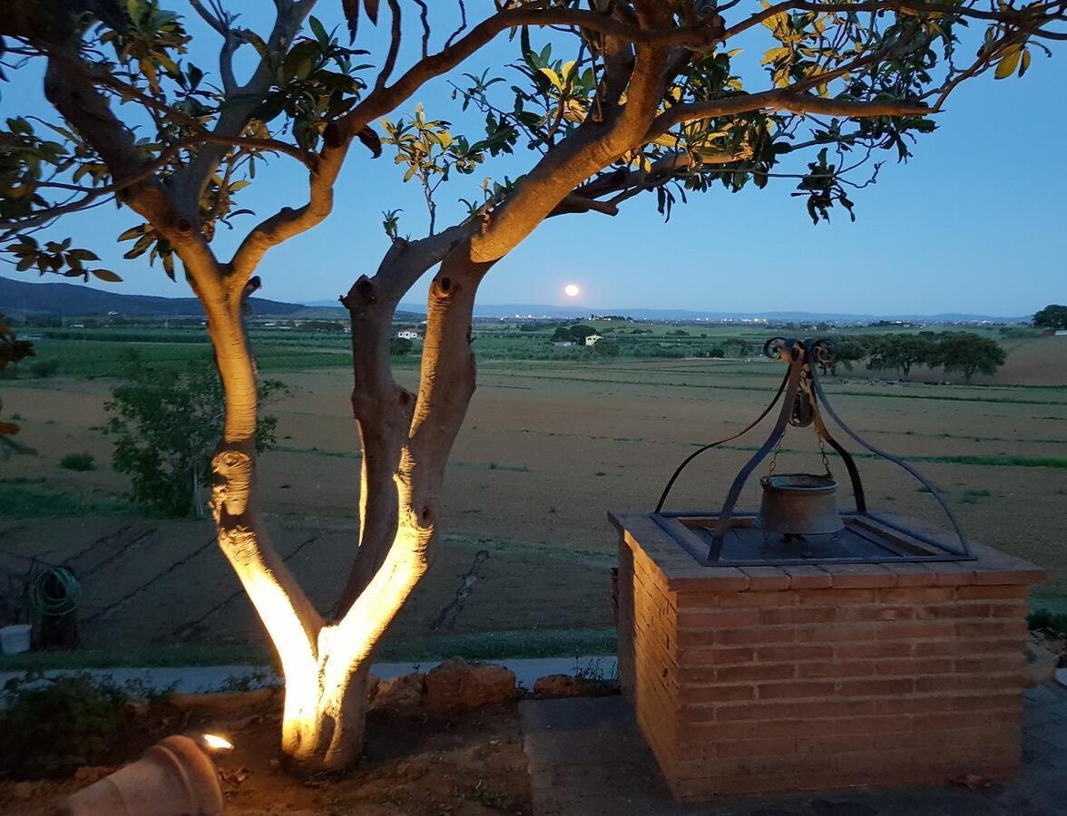 Agriturismo Diaccia Boltrona