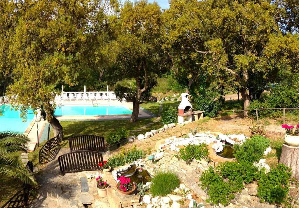 L'Oasis