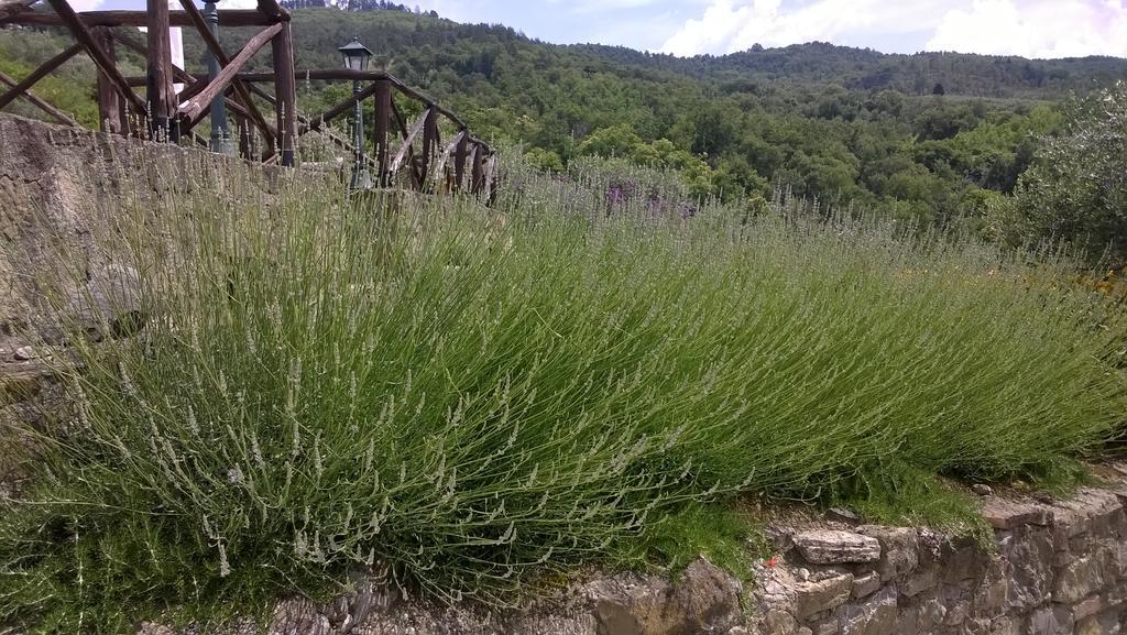 Piccolo Relais Galletto di Marzo