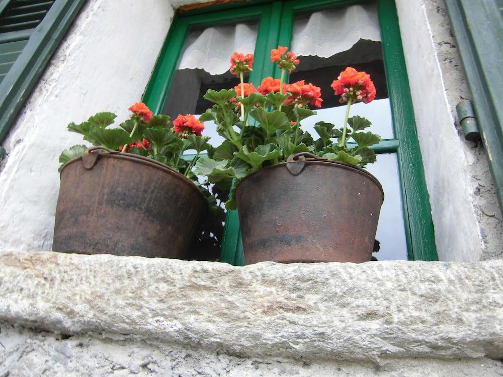 La Casa Antica