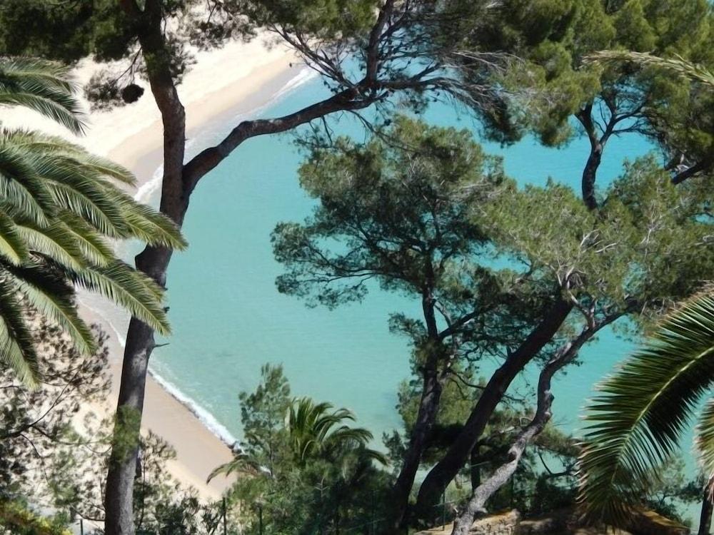 Eden Mar