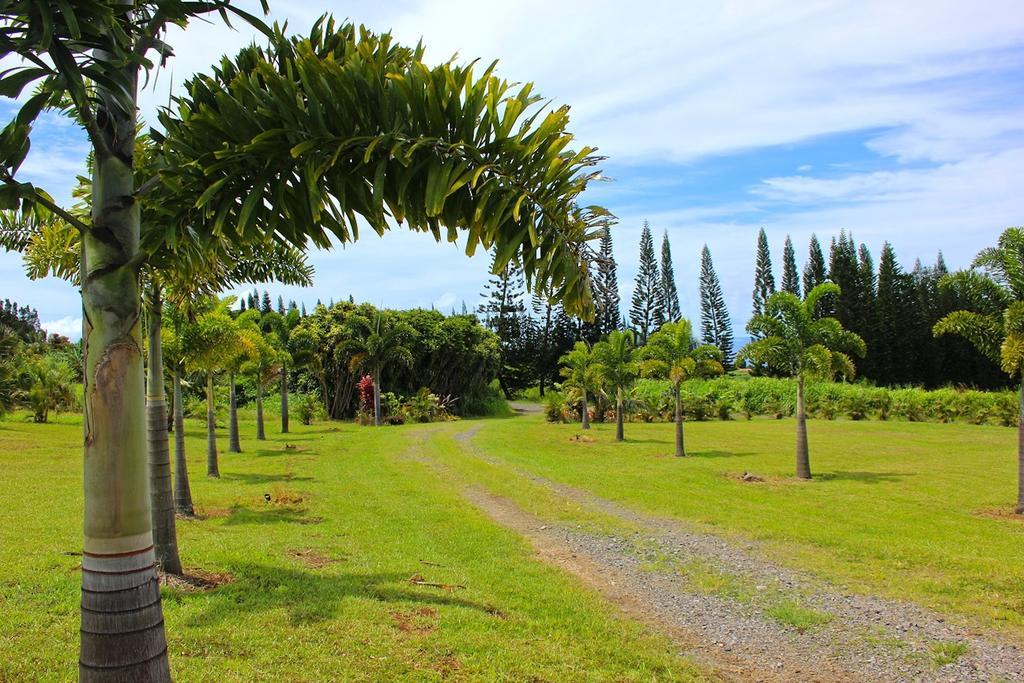 Mahana House