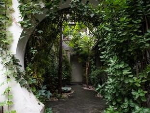The Orchid