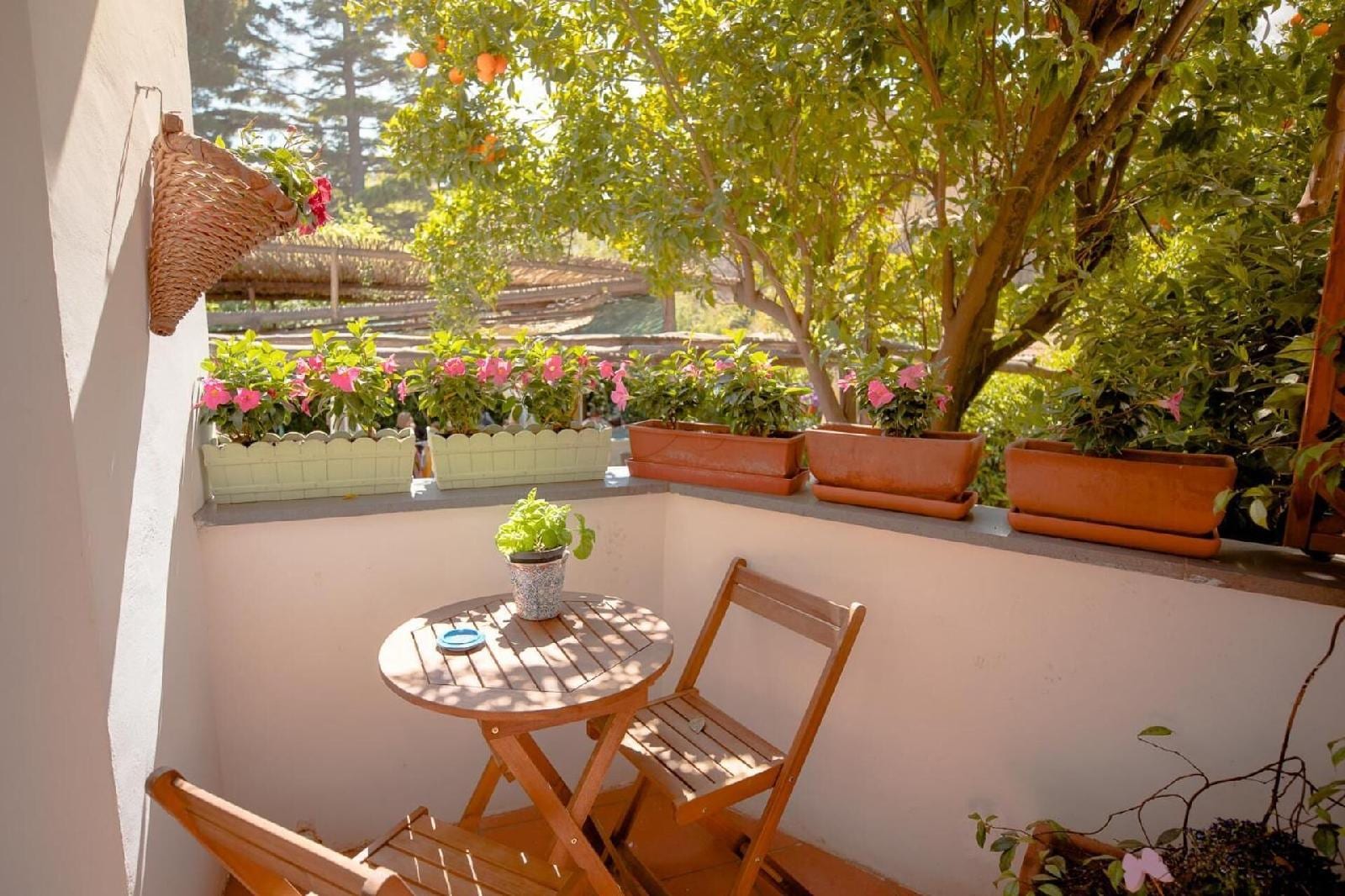 Mimi B&B Bar Pizzeria