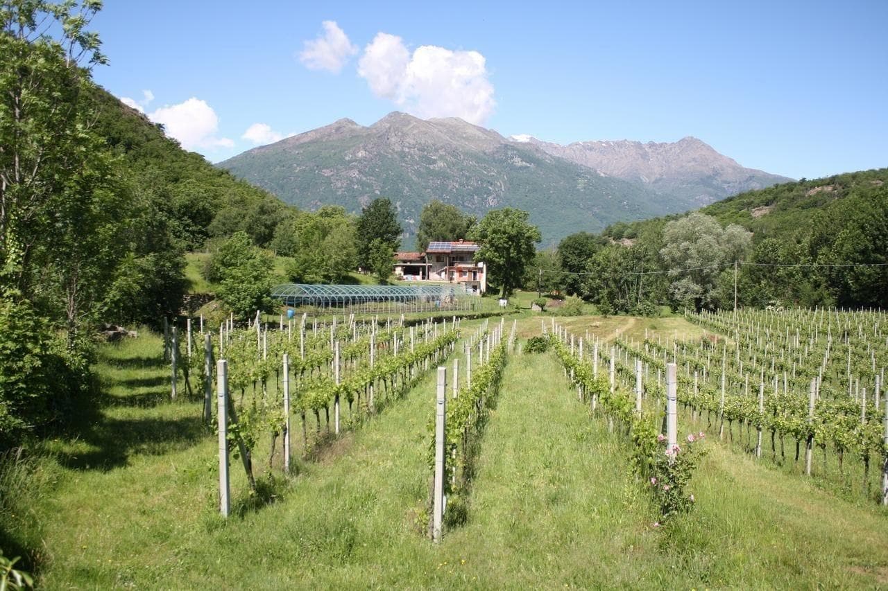 B&B La Campagnetta