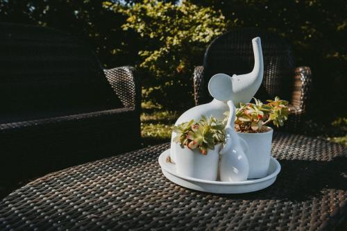 Alle Pendici Del Conero B&B