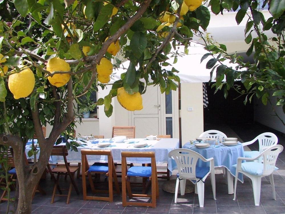 B&B Solanas