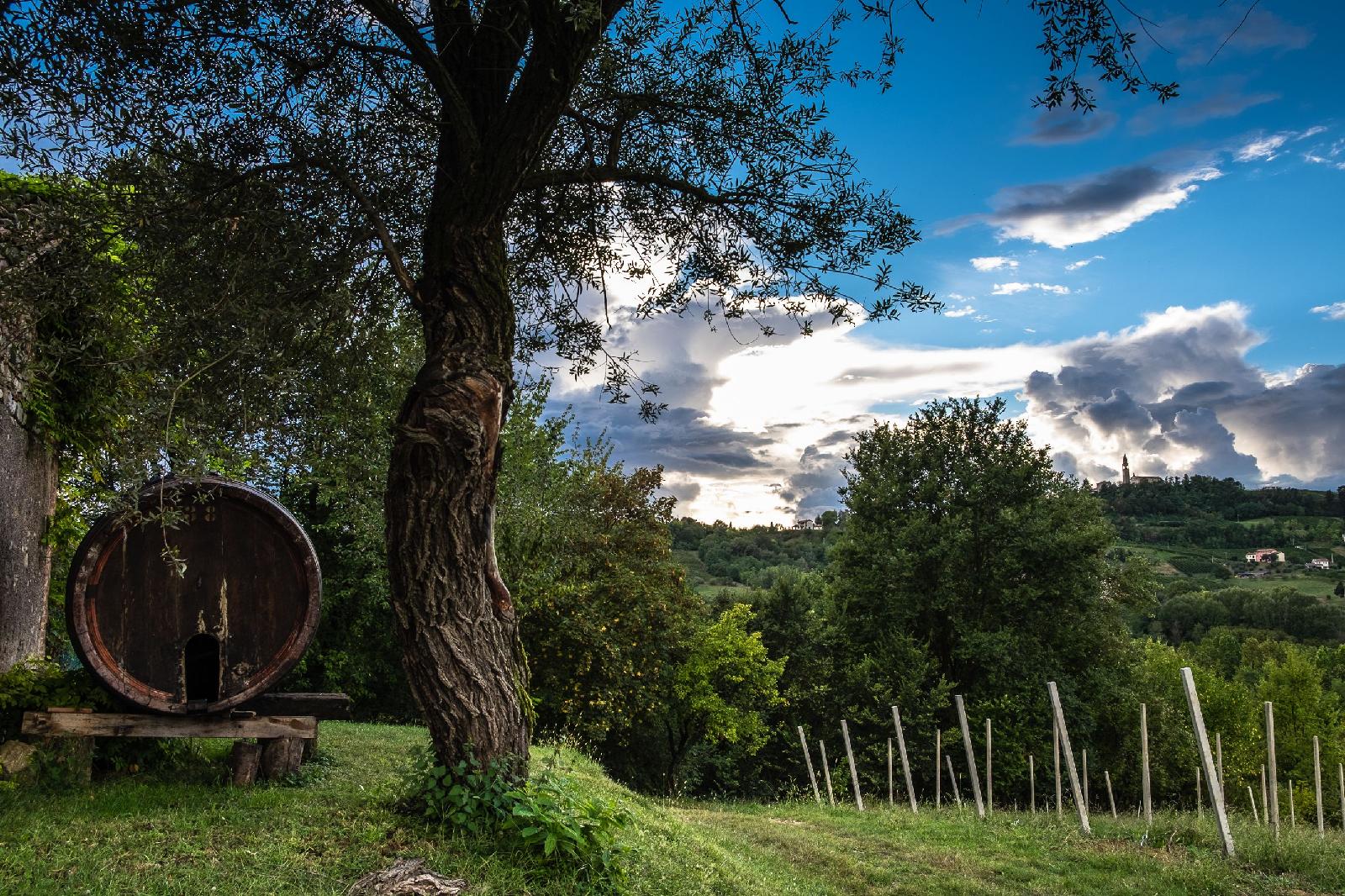 Agriturismo Le Spezie