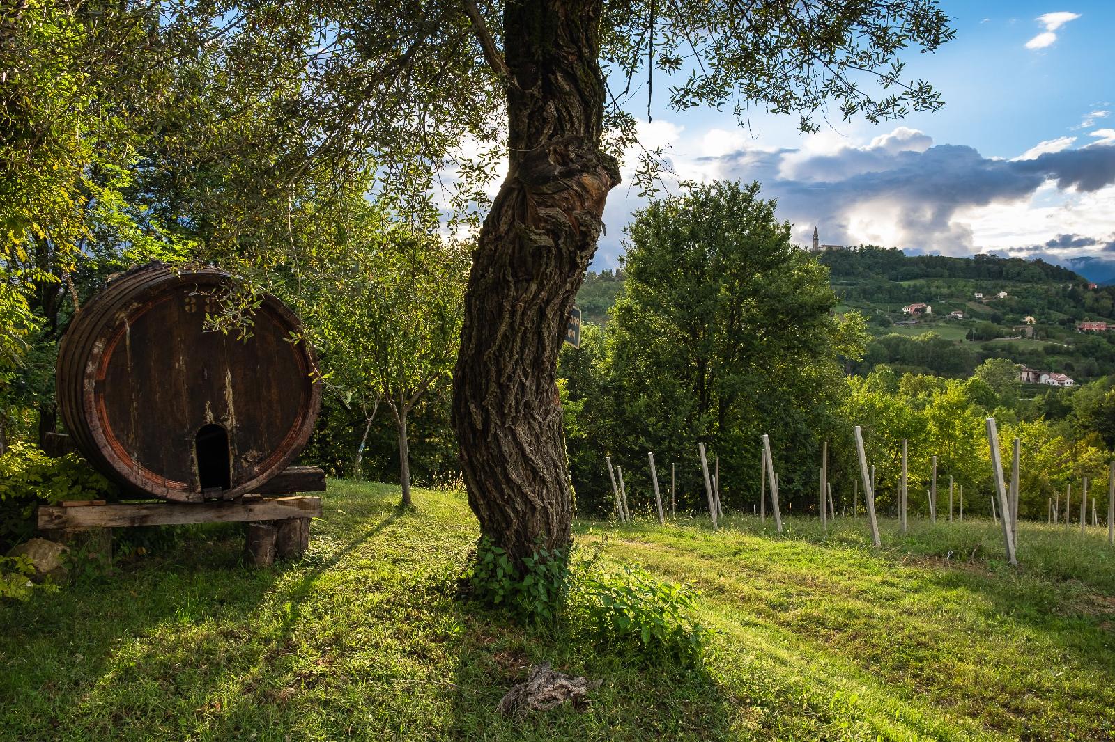 Agriturismo Le Spezie
