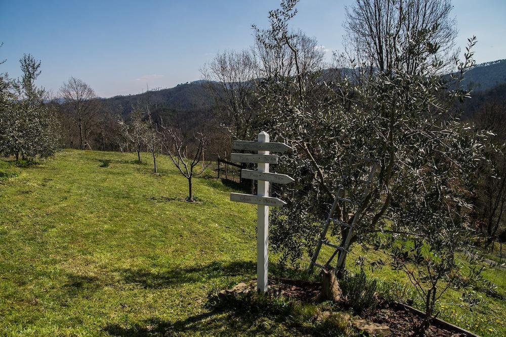 Agriturismo Angio Nel Cere