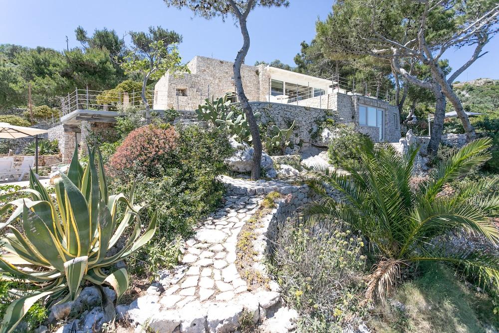 La Casa Del Fico