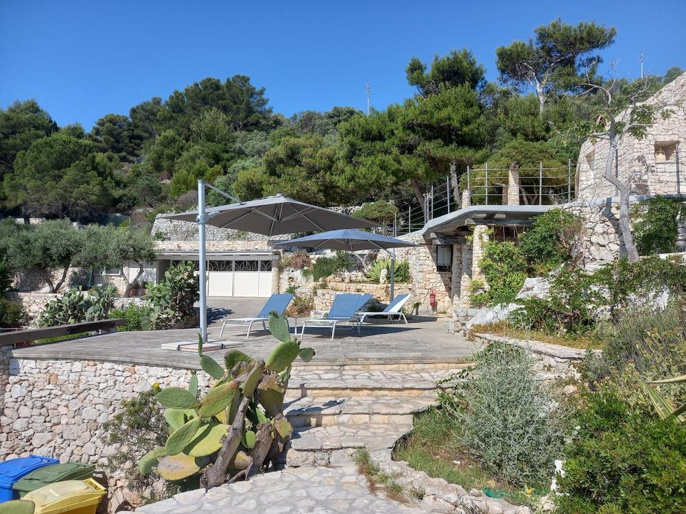 La Casa Del Fico