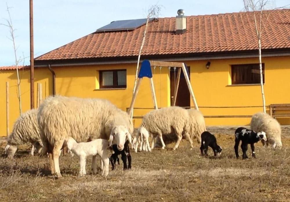 Agriturismo Azienda Agricola Miranti