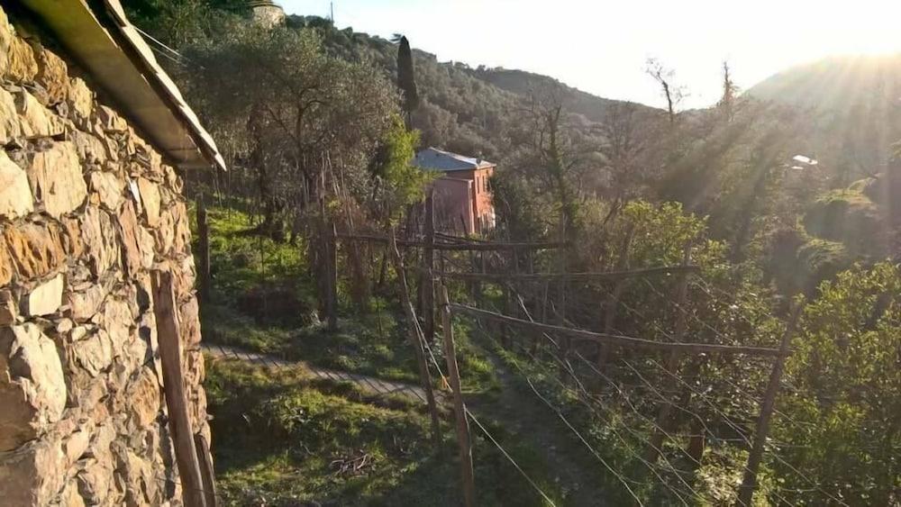 Agriturismo A' Taversa