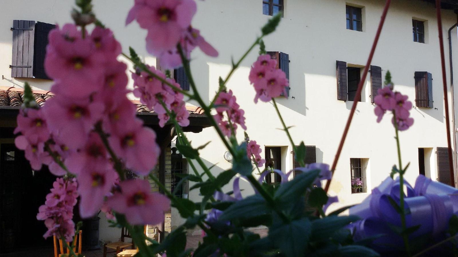 Fiori di Maggio