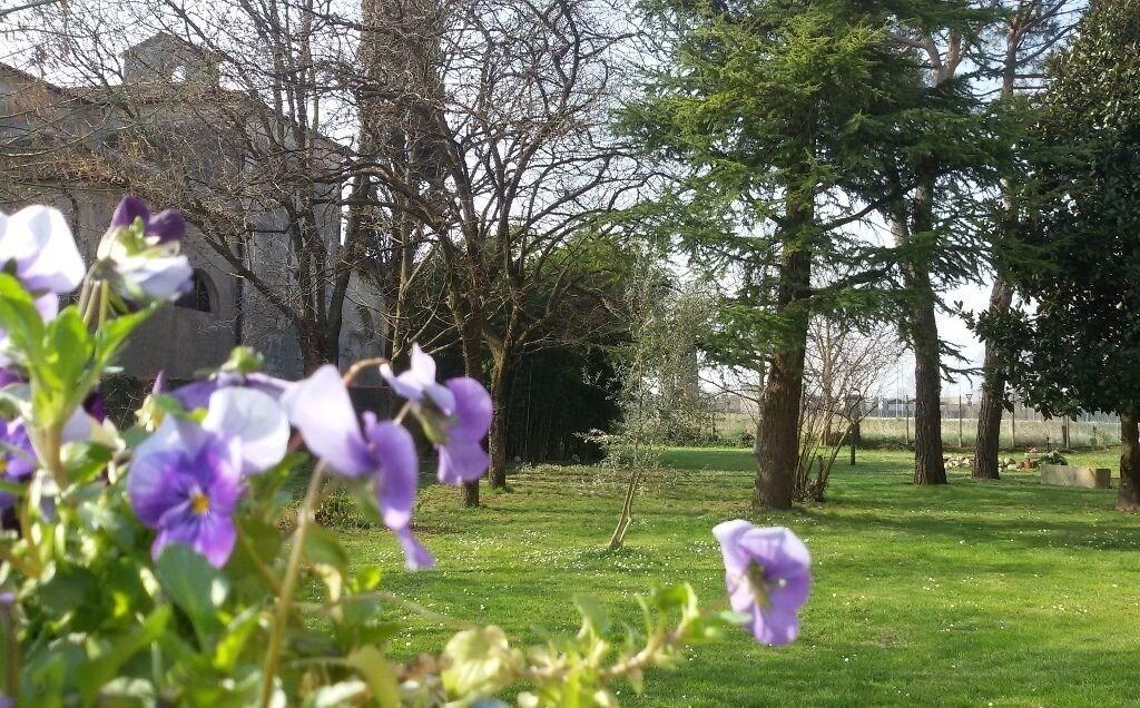 Fiori di Maggio