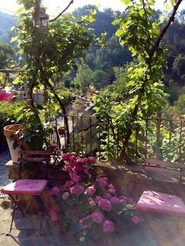 B&B Il Tulipano