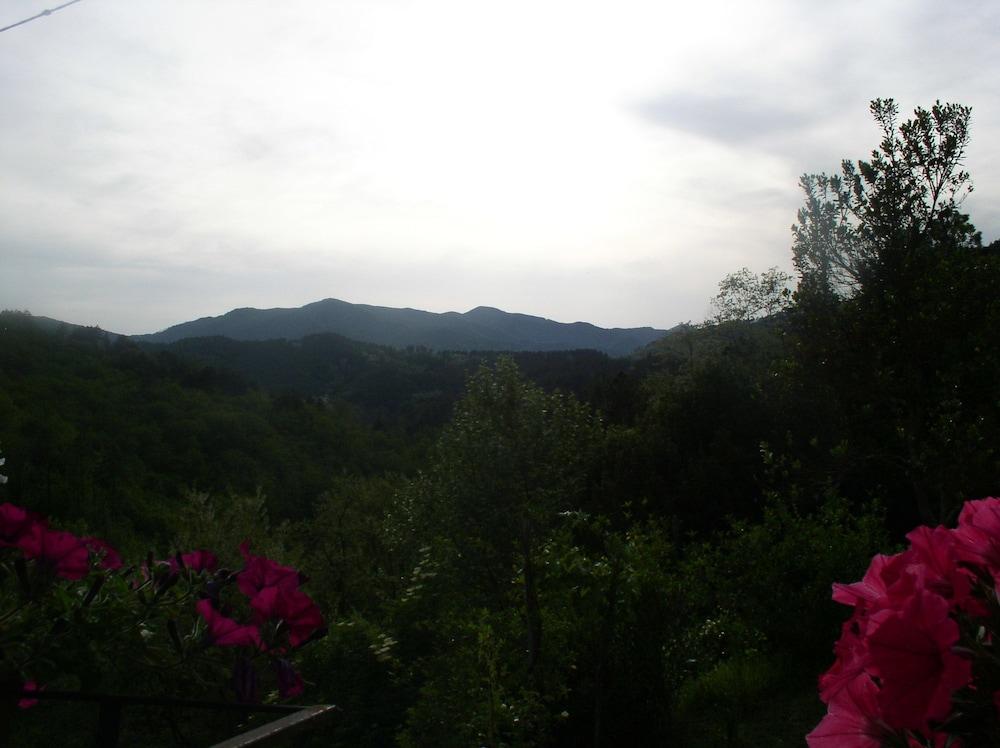 B&B Il Tulipano