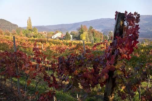 Fattoria Le Vegre