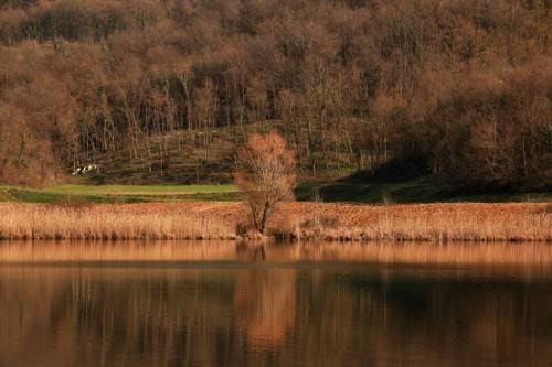 Fattoria Le Vegre