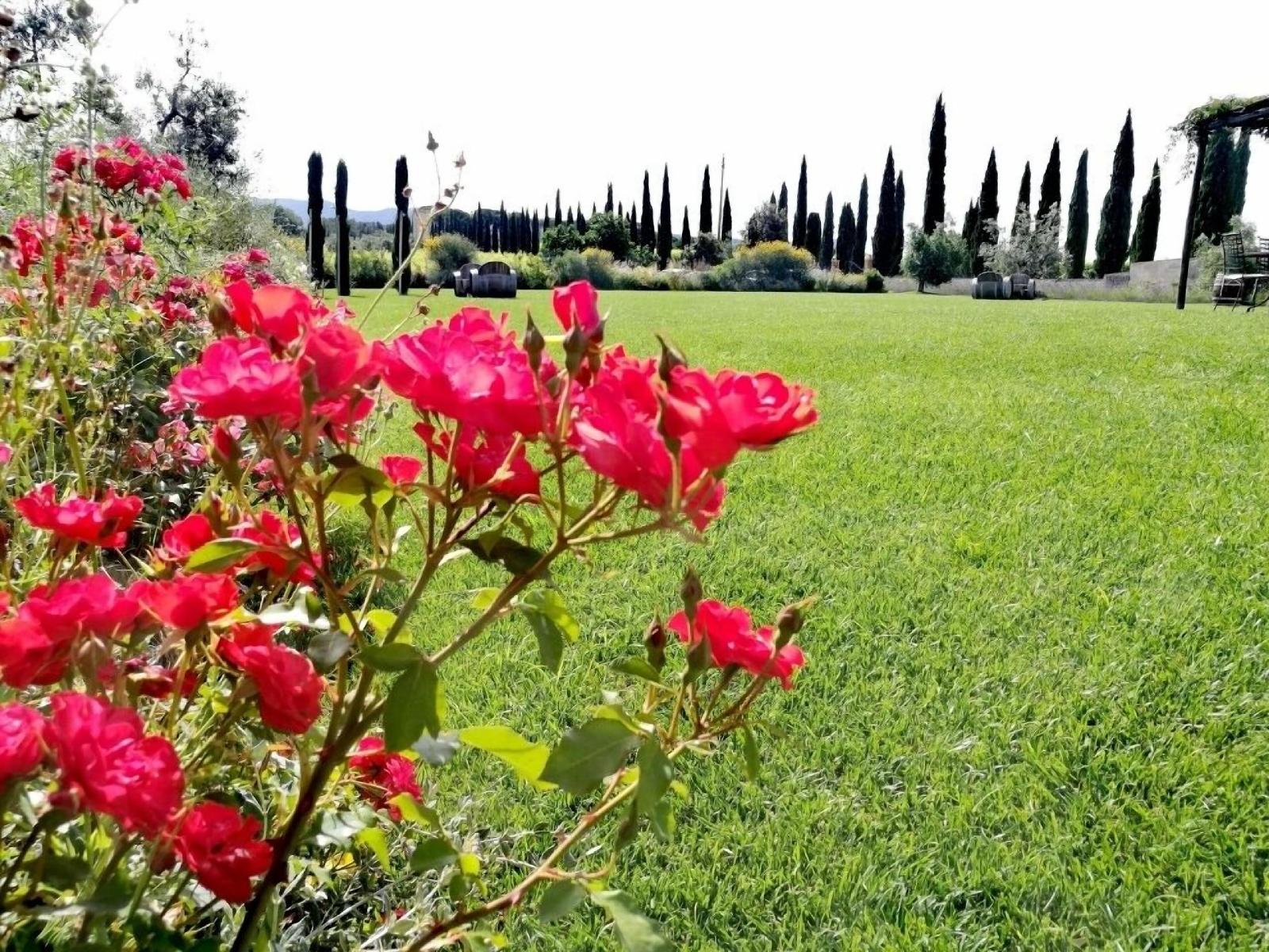 Locanda Dell'aioncino