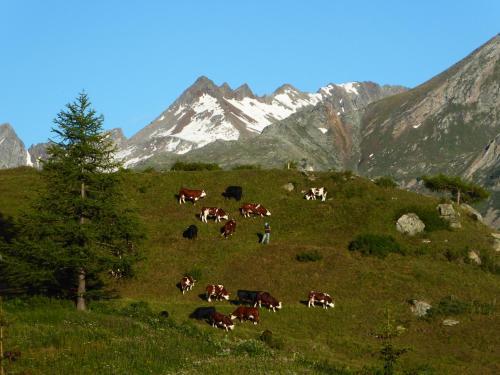Hotel Grauson